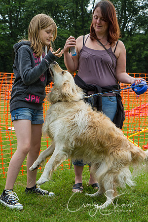 RSPCA Dog Day Afternoon