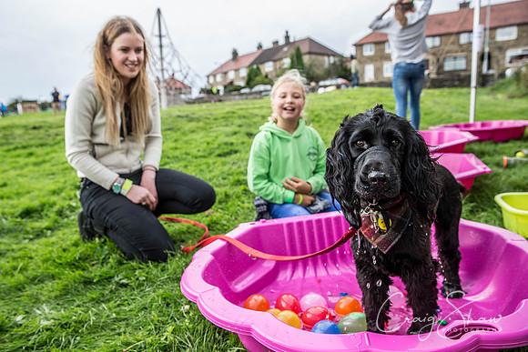 224_Woofstock2016_craigshaw
