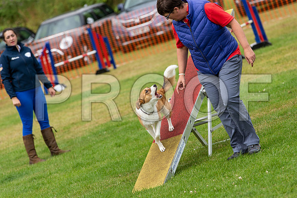 2325_SpringersFunDay2019_craigshawphoto