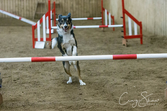 2502_springfling2015_bluplanetphoto