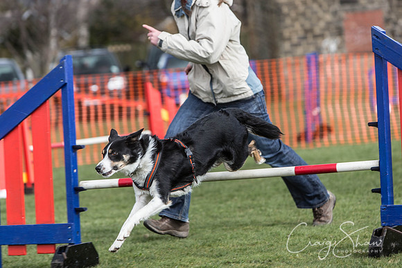 674__SpringersFunDay_March2014_bluplanetphoto