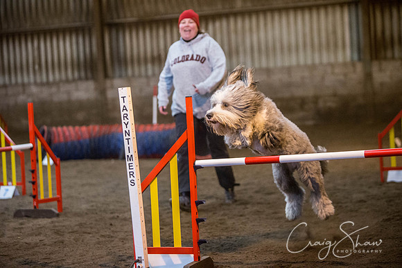 1204_springfling2015_bluplanetphoto