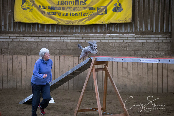 914_springfling2015_bluplanetphoto
