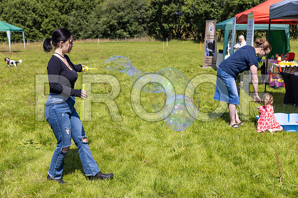 341__PAWSFundogShow_July2022_cshaw