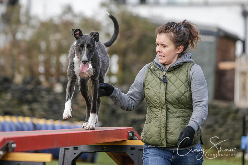 99__SpringersFunDay_March2014_bluplanetphoto