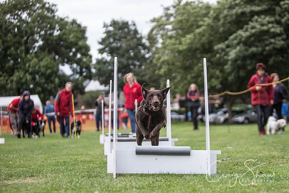 1748_BarkintheParkHuddersfield_2014_bluplanetphoto