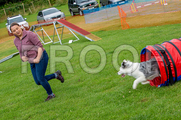 1122_SpringersFunDay2019_craigshawphoto