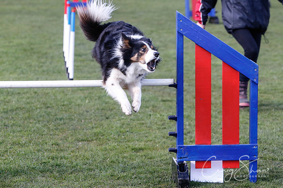 1726__SpringersFunDay_March2014_bluplanetphoto