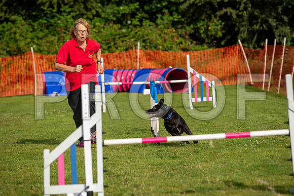 0237_SpringersFunDay2019_craigshawphoto