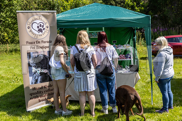 382__PAWSFundogShow_July2022_cshaw
