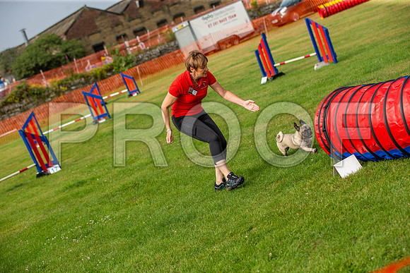 0679_SpringersFunDay2019_craigshawphoto