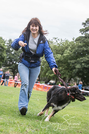 1959_BarkintheParkHuddersfield_2014_bluplanetphoto