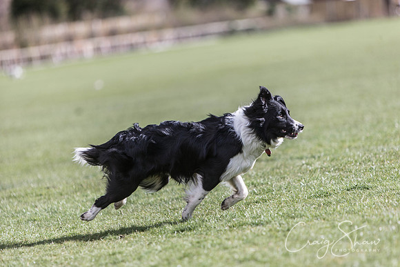 1359__SpringersFunDay_March2014_bluplanetphoto