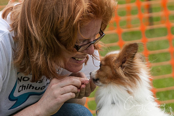 RSPCA Dog Day Afternoon