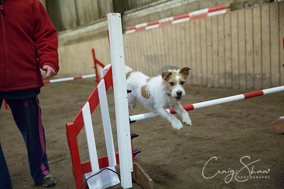 470_springfling2015_bluplanetphoto