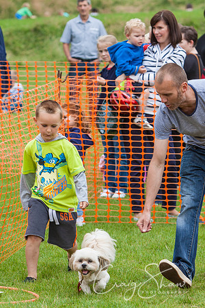 RSPCA Dog Day Afternoon