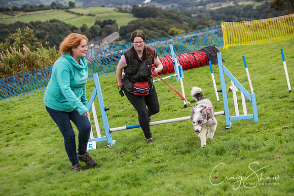 113_Woofstock2016_craigshaw