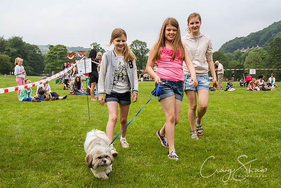 RSPCA Dog Day Afternoon