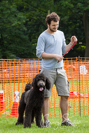 RSPCA Dog Day Afternoon