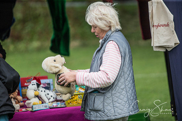 135_HebdenHappyHounds_2014_bluplanetphoto