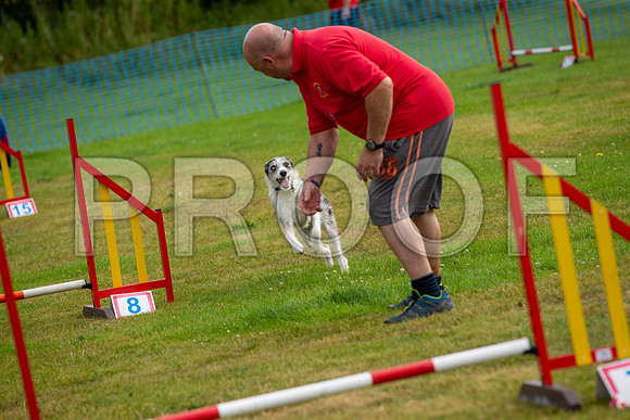 0548_SpringersFunDay2019_craigshawphoto