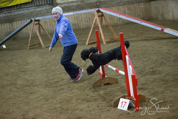 452_springfling2015_bluplanetphoto