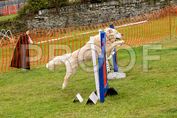 2081_SpringersFunDay2019_craigshawphoto