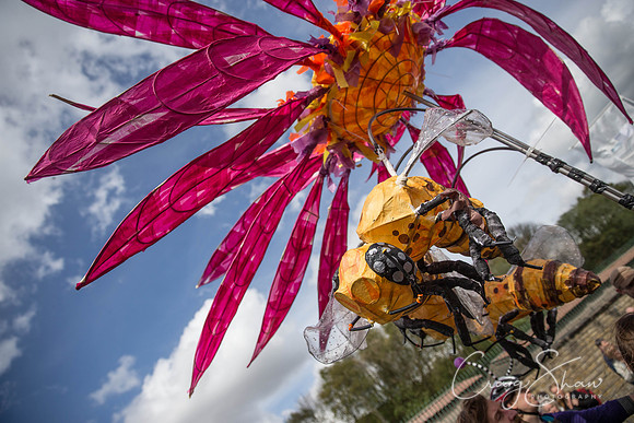 2042_fantasticalcycleparade_April2014_bluplanetphoto