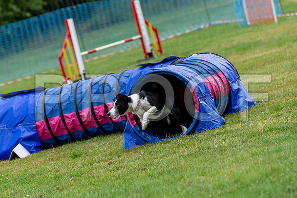 2472_SpringersFunDay2019_craigshawphoto