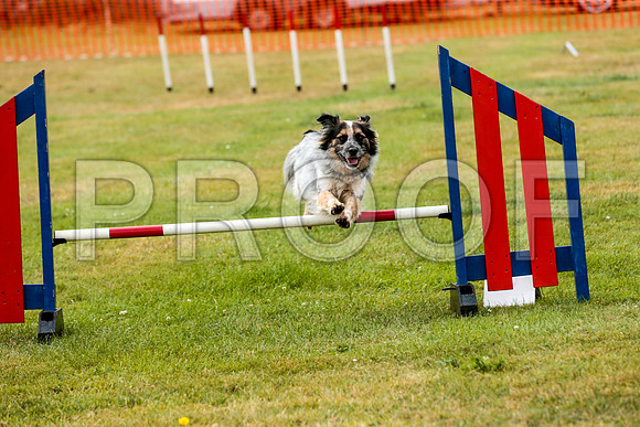 2589_SpringersFunDay2019_craigshawphoto