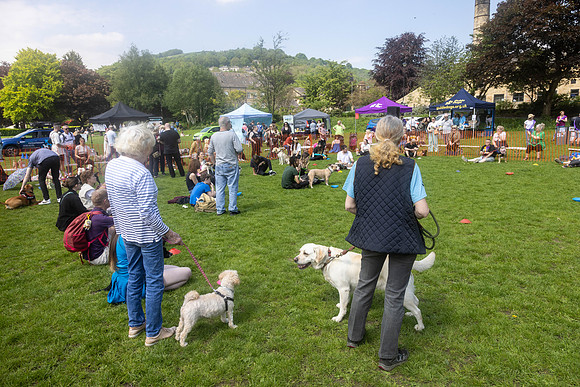 2017_HebdensHappyHounds2024_Cshaw-