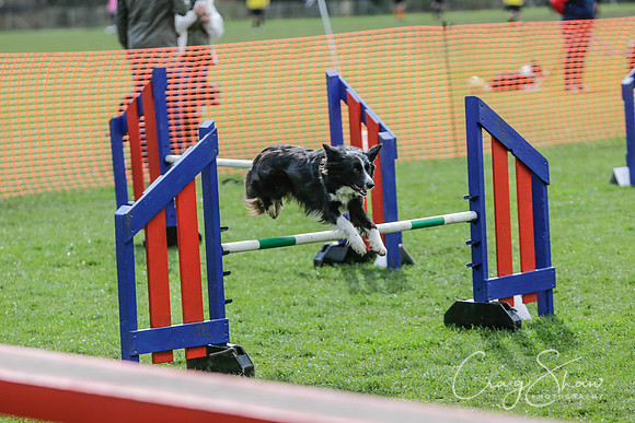 183__SpringersFunDay_March2014_bluplanetphoto