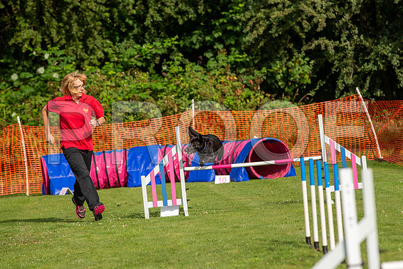 0233_SpringersFunDay2019_craigshawphoto