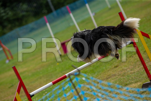 0784_SpringersFunDay2019_craigshawphoto
