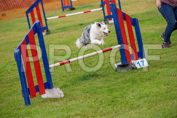 1105_SpringersFunDay2019_craigshawphoto