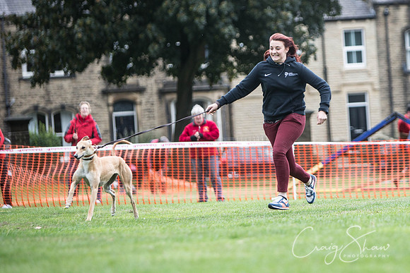 2124_BarkintheParkHuddersfield_2014_bluplanetphoto