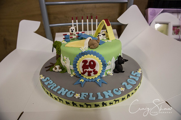990_springfling2015_bluplanetphoto