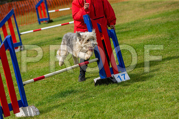 1442_SpringersFunDay2019_craigshawphoto