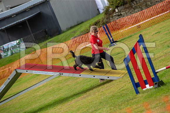 0768_SpringersFunDay2019_craigshawphoto
