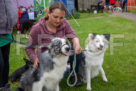 1794_SpringersFunDay2019_craigshawphoto