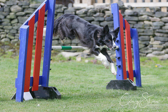 203__SpringersFunDay_March2014_bluplanetphoto