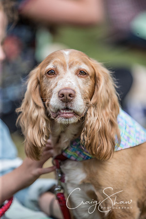 322_K9Partyinthepark2014_RSPCAHalifax_bluplanetphoto