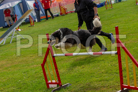 0781_SpringersFunDay2019_craigshawphoto