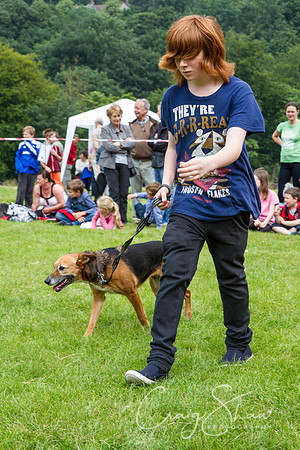 RSPCA Dog Day Afternoon
