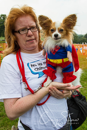 RSPCA Dog Day Afternoon