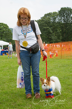 RSPCA Dog Day Afternoon