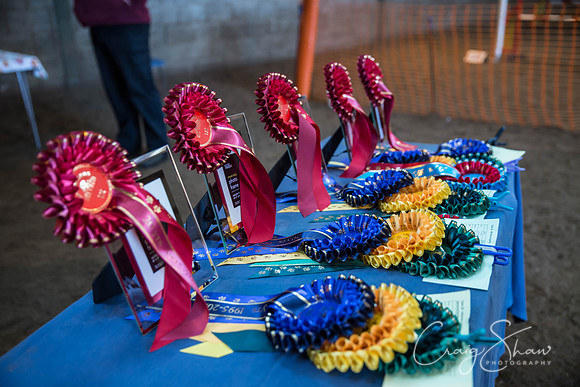 2123_springfling2015_bluplanetphoto