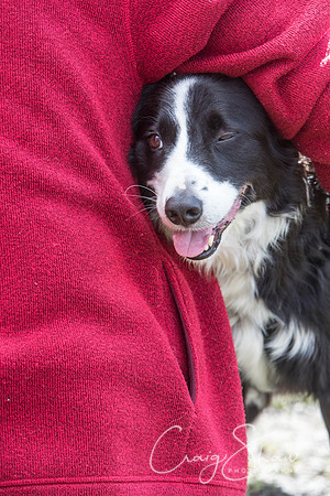 67__SpringersFunDay_March2014_bluplanetphoto