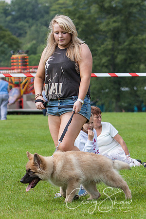RSPCA Dog Day Afternoon