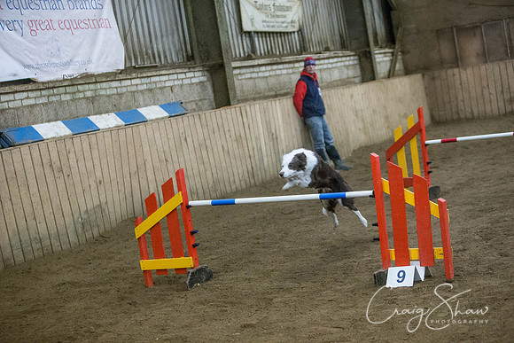1761_springfling2015_bluplanetphoto